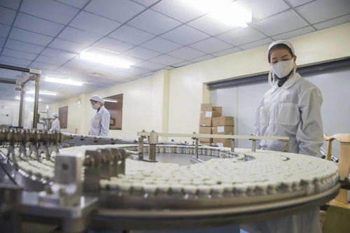 沙坪壩 智能產(chǎn)業(yè)規(guī)模突破1500億元